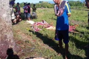Diduga Curi Ternak di Perbatasan, WN Timor Leste Ditangkap TNI