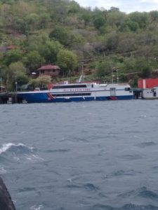 Pekan Depan Kapal Cepat MV Batam Line Mulai Layani Larantuka-Lembata