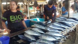 Setelah Terdata, Para Penjual Mulai Berjualan Ikan di Pasir Panjang