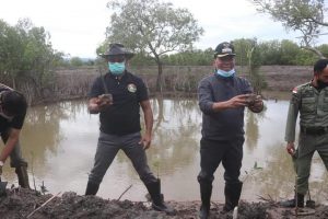 Bupati Kupang Bersama Rektor Undana Tanam Pohon Bakau Di Pesisir Pantai Pasir Putih