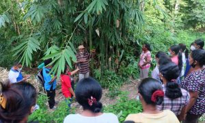 YBL Libatkan Ibu-Ibu Dalam Program Penghijauan Pelestarian Bambu
