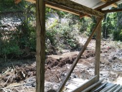 MAT Desa Waiula Resmi Polisikan Kasus Pengrusakan Hutan Adat Bukit Bolan & Ongan Bele