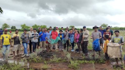 Warga Desa Kota Kawau Sumba Timur Gotong Royong Basmi Hama Belalang Kumbara